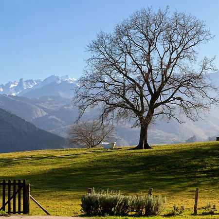 La Montana Magica Hotel Rural Vibano Kültér fotó